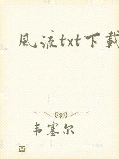 风流txt下载