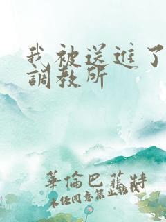 我被送进了私奴调教所