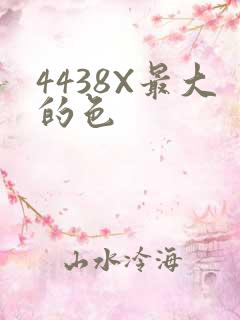 4438X最大的色