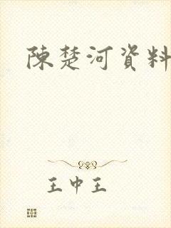 陈楚河资料