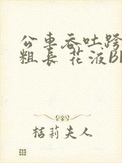 公车吞吐跨坐 粗长 花液BL