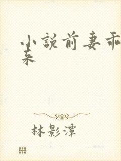 小说前妻乖乖回来