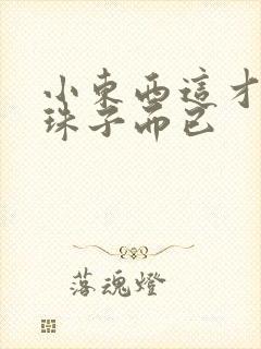 小东西这才一颗珠子而已