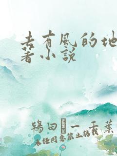 去有风的地方原著小说