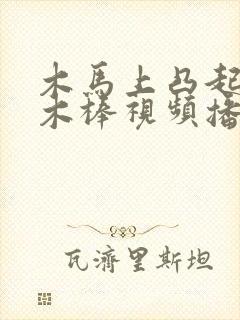 木马上凸起电动木棒视频播放