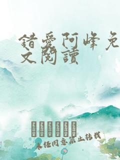 错爱阿峰免费全文阅读