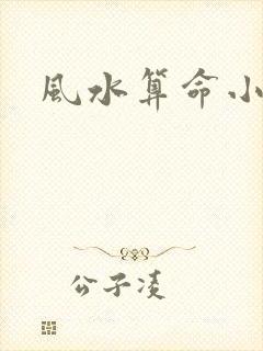 风水算命小说