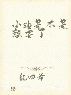小sb是不是又想要了