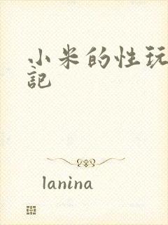 小米的性玩具日记