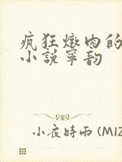 疯狂炖肉的全部小说宁韵