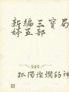 新编三宝局长许婷五部
