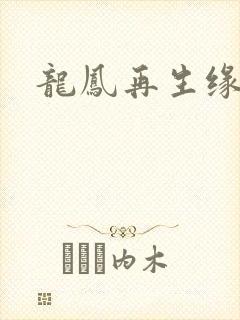 龙凤再生缘