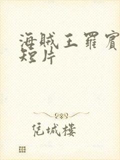 海贼王罗宾被h短片