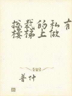 总裁的私有宝贝楼梯上做