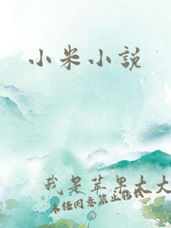 小米小说