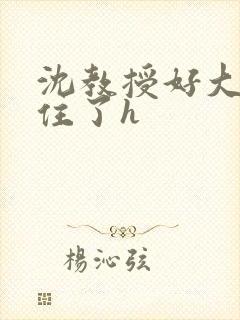 沈教授好大含不住了h