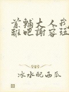 首辅大人我们和离吧谢容珏