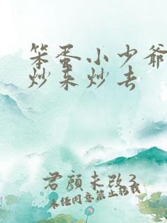 笨蛋小少爷又被炒来炒去