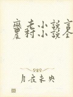 恋老小说言情网农村小说全文阅读