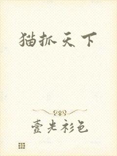 猫抓天下