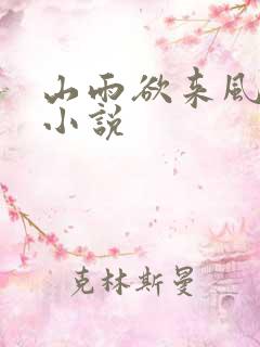山雨欲来风满楼小说