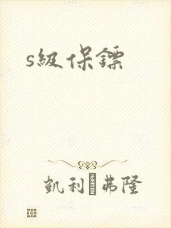 s级保镖