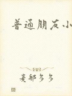 普通朋友小说