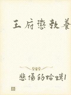 王府惩教养日常