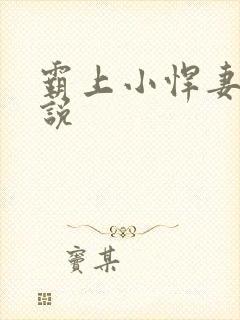 霸上小悍妻 小说