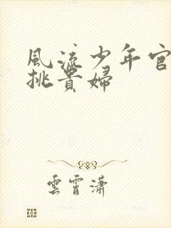 风流少年官途情挑贵妇