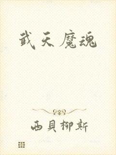 武天魔魂