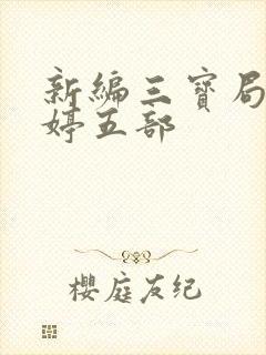 新编三宝局长许婷五部