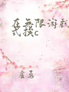 在无限游戏里花式挨c