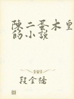 陈二蛋木皇真经的小说