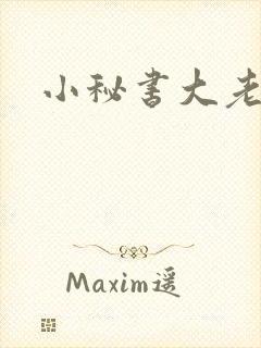 小秘书大老婆