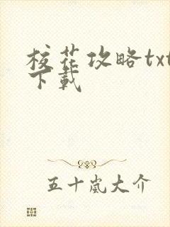 校花攻略txt下载