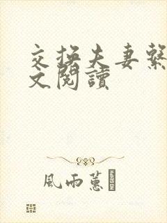 交换夫妻系列全文阅读