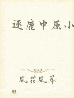 逐鹿中原小说