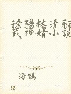 徐阳林清雅绝世武神婿小说