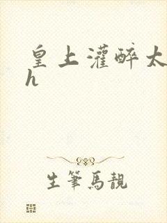 皇上灌醉太子妃h