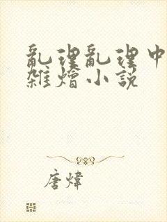 乱理乱理中文大杂烩小说