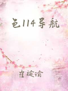 色114导航