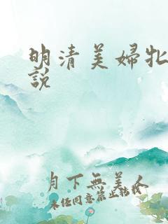 明清美妇牝户小说