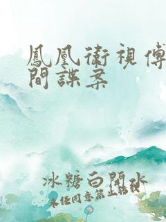 凤凰卫视傅晓田间谍案