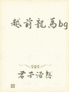 越前龙马bg