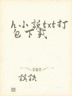 h小说txt打包下载