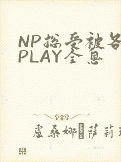 NP总受被各种PLAY全息