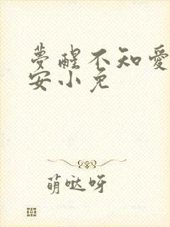 梦醒不知爱欢凉安小免