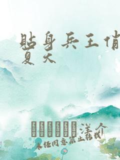 贴身兵王俏总裁夏天