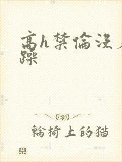 高h禁伦没羞没躁